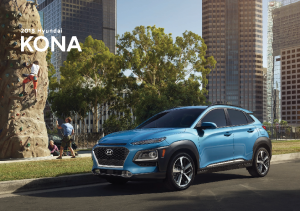 2018 Hyundai Kona